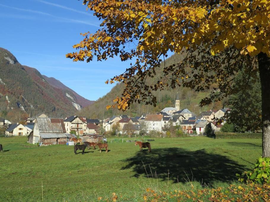 "Le Desman" Confortable T2 A La Montagne Face Aux Thermes Rando, Cure Aulus-les-Bains Exterior foto
